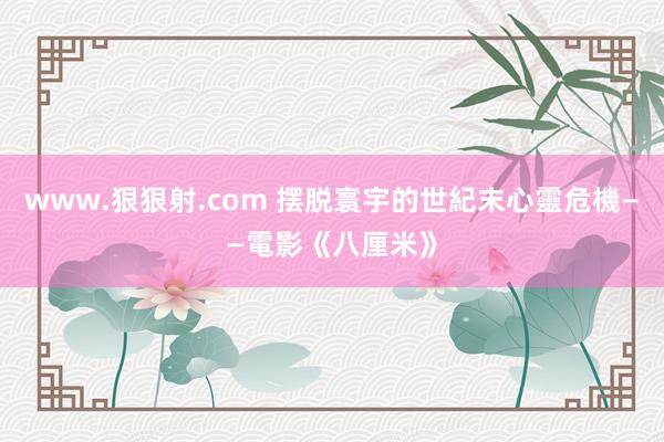 www.狠狠射.com 摆脱寰宇的世紀末心靈危機——電影《八厘米》
