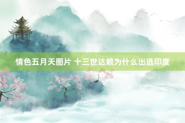 情色五月天图片 十三世达赖为什么出逃印度